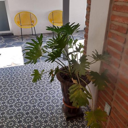 Estudio #5 Casa Fatima, 8 Min Del Centro 1 Persona Гвадалахара Экстерьер фото