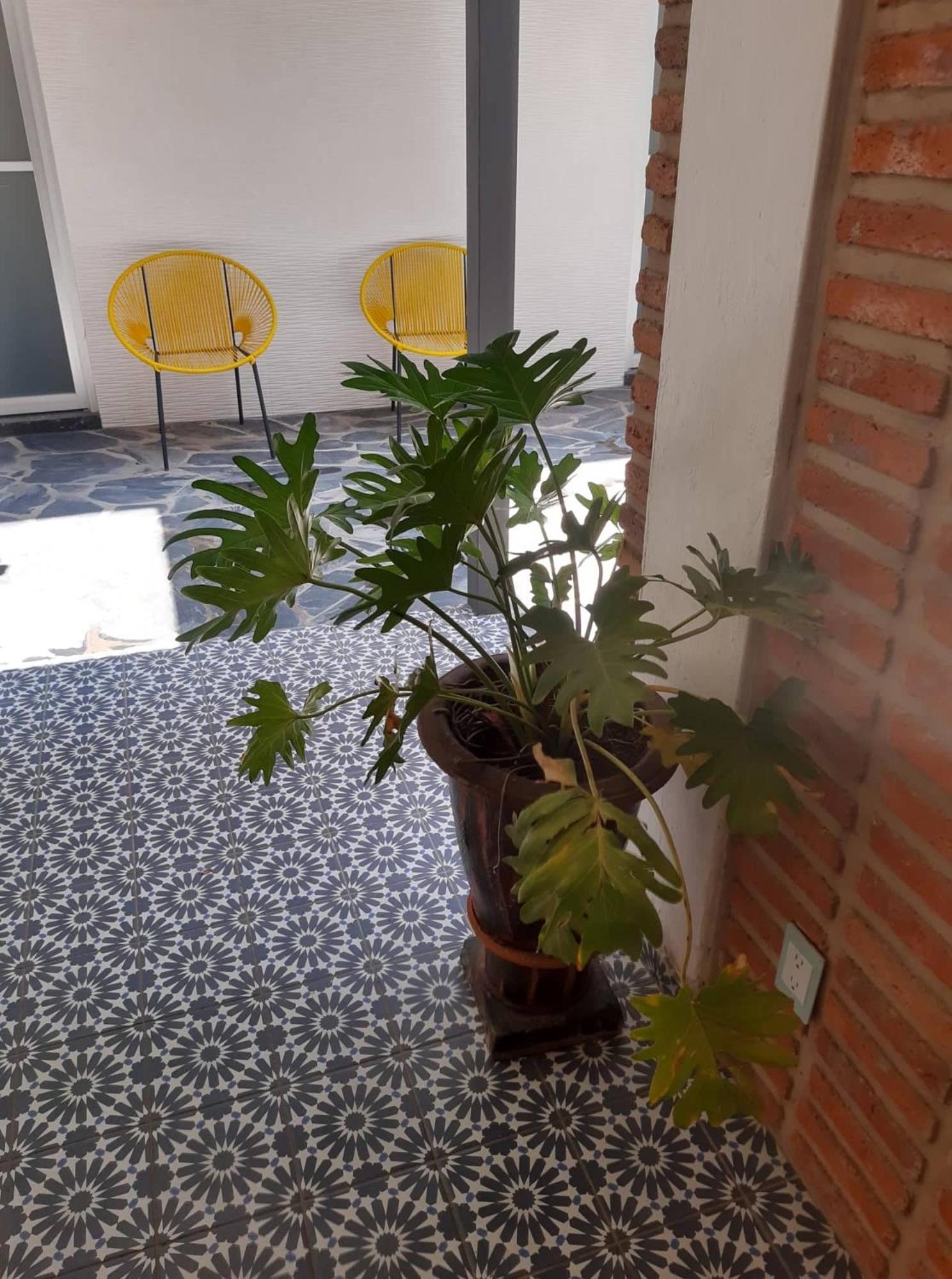 Estudio #5 Casa Fatima, 8 Min Del Centro 1 Persona Гвадалахара Экстерьер фото
